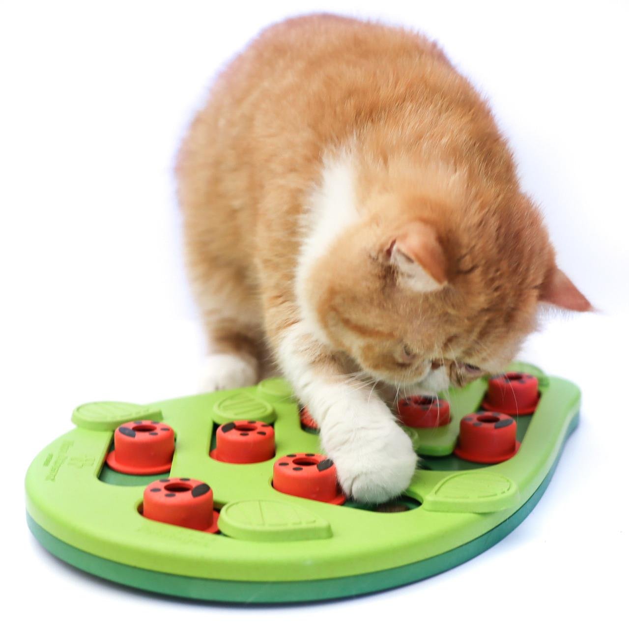 Puzzle & Play Buggin Out Green İnteraktif Kedi Oyuncağı - 69479M