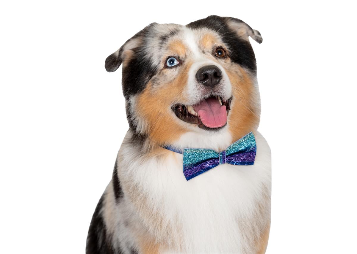 Show Tech Canine Costume Dickie Bows Sparkle 10-Pack Assorted - 65STE685