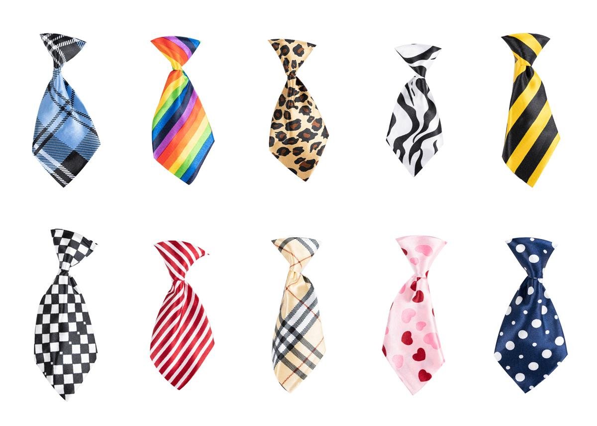 Show Tech Canine Costume Ties 10-pack Assorted - 65STE661