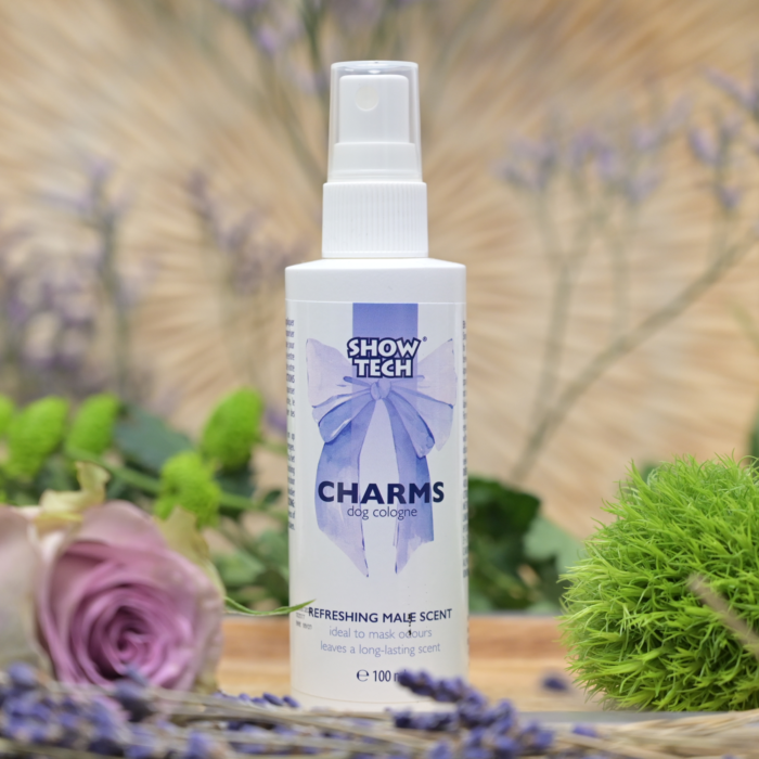 Show Tech Charms Perfume 100 ml - 44STE005