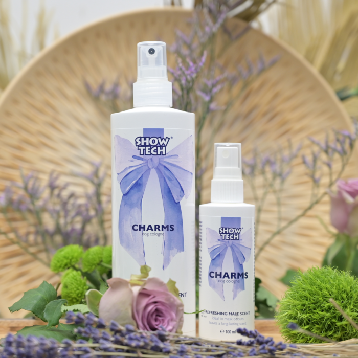 Show Tech Charms Perfume 100 ml - 44STE005