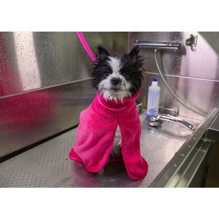 Show Tech+ Dry Dude Small Hot Pink Bathrobe