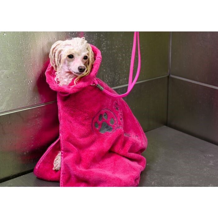 Show Tech+ Dry Dude Small Hot Pink Bathrobe
