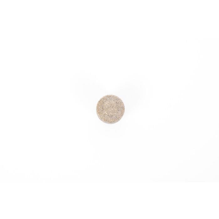 show-tech-grinding-stone-for-show-tech-fe-4f2.jpg