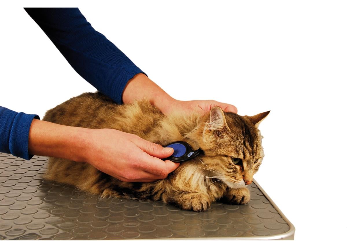 show-tech-mat-splitter-dematting-comb--8ccecf.jpg