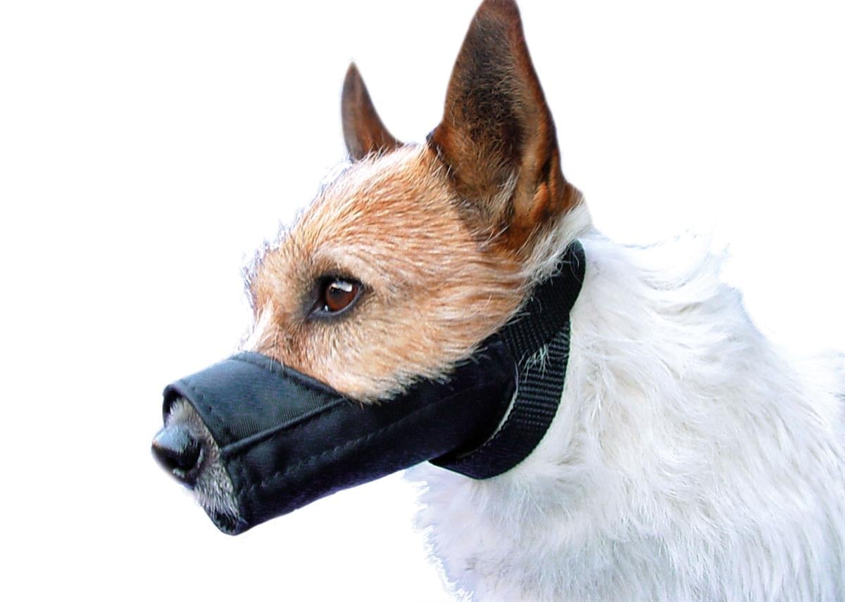 show-tech-muzzle-size-0-10cm-muzzle-92-30-a0c.jpg