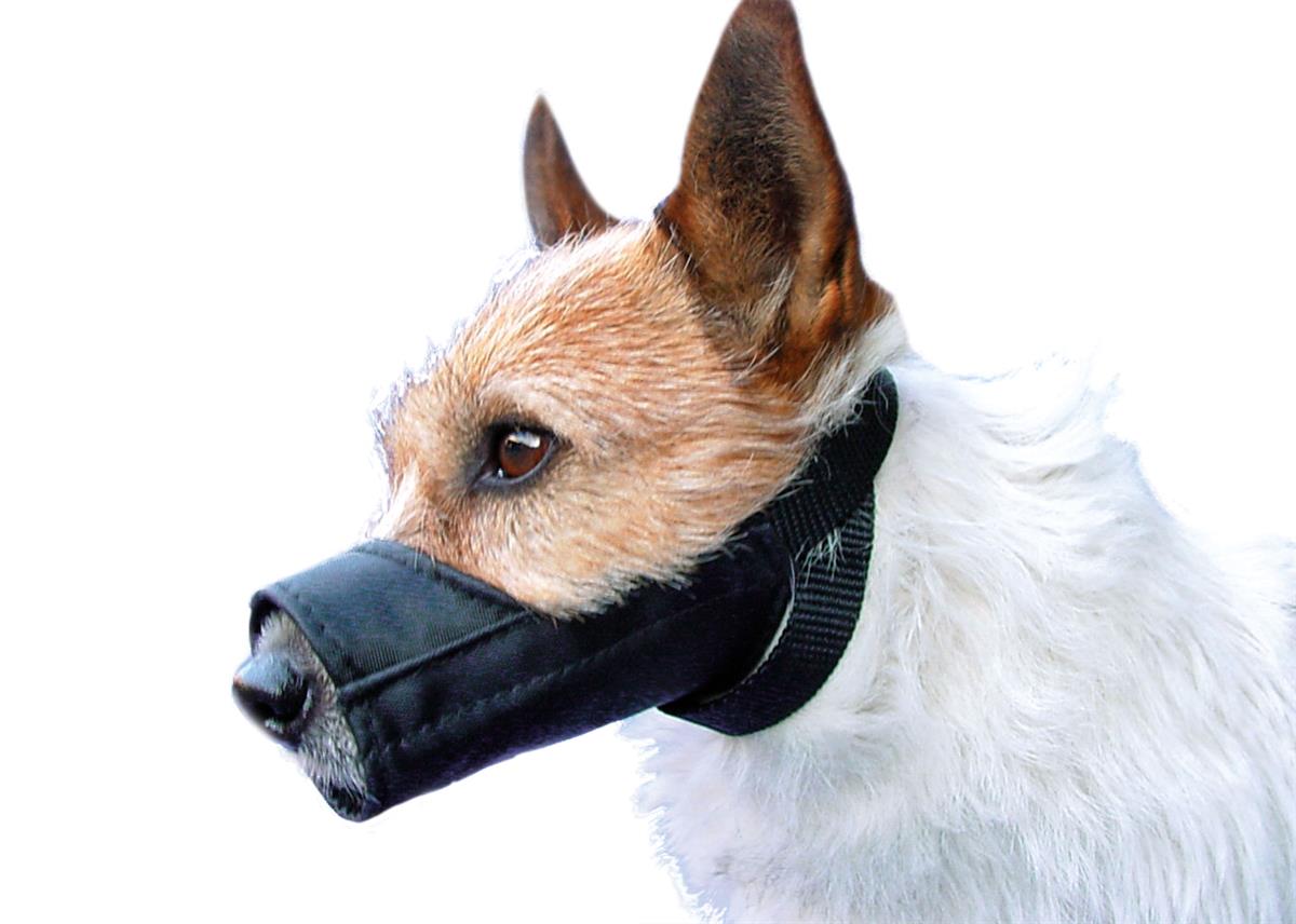 show-tech-muzzle-size-1-12cm-muzzle-92-06-42b.jpg