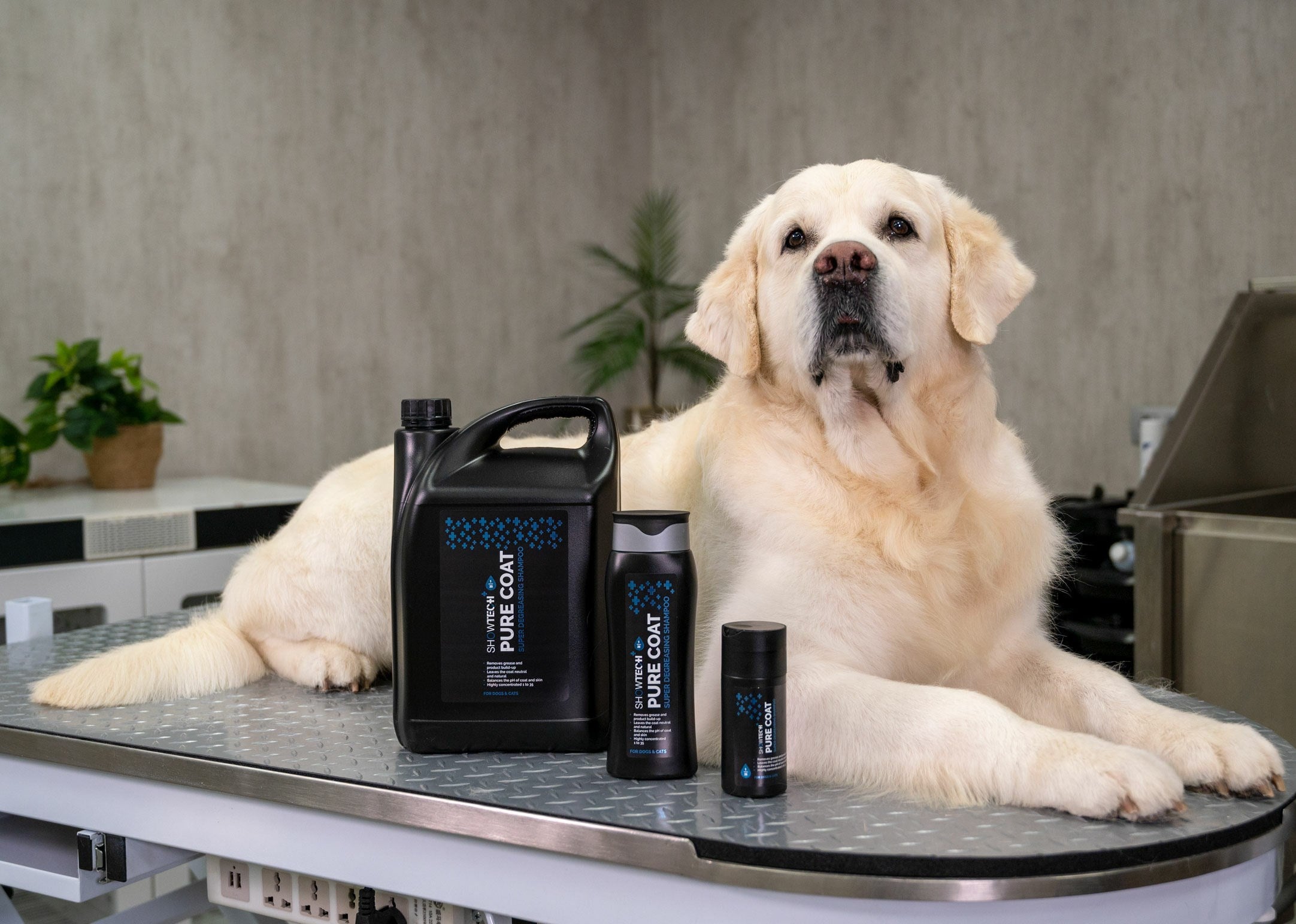 Show Tech+ Pure Coat Degreasing Shampoo 5 L - 41STP025
