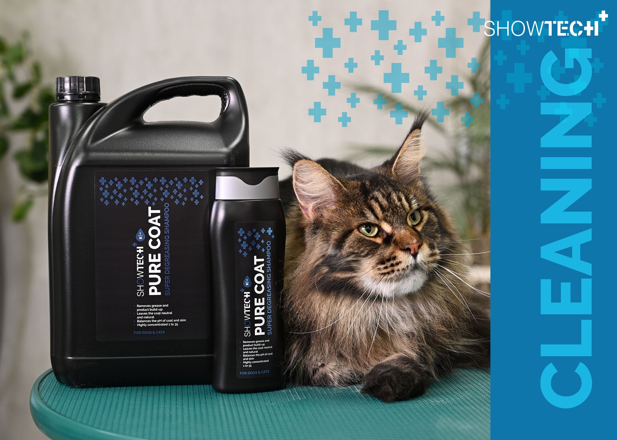 Show Tech+ Pure Coat Degreasing Shampoo 5 L - 41STP025