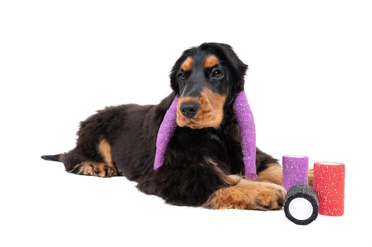 show-tech-self-cling-bandage-red-glitt-0e14-7.jpg