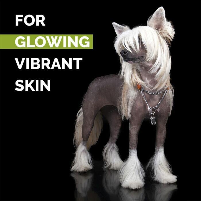 Show Tech+ Skinsational Pet Scrub 200 ml - 43STP004