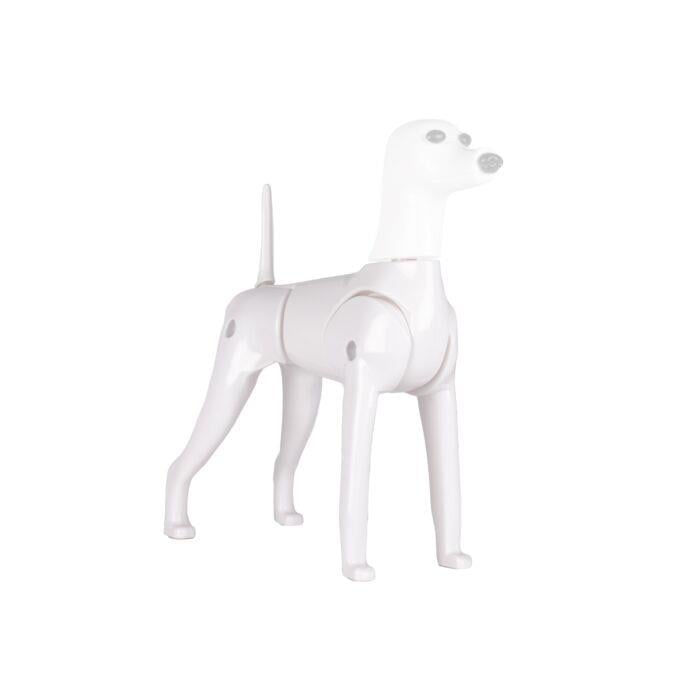 Starzclub Model Dog Body Educational Dog - 89STA030