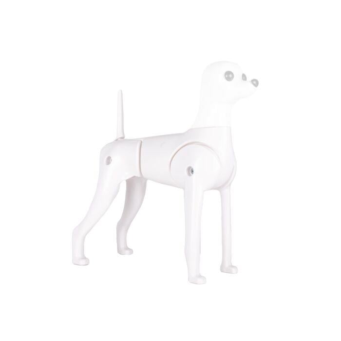 Starzclub Model Dog Body Educational Dog - 89STA030