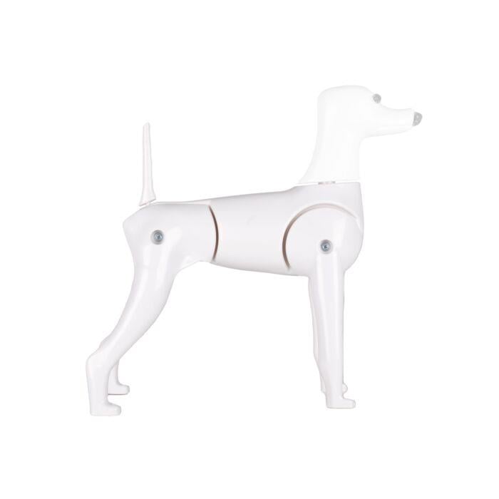 Starzclub Model Dog Body Educational Dog - 89STA030