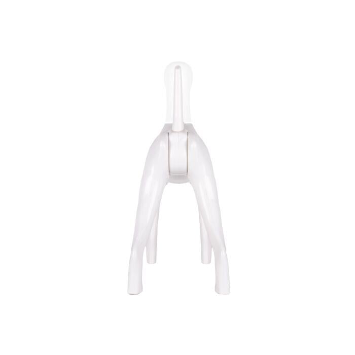 Starzclub Model Dog Body Educational Dog - 89STA030