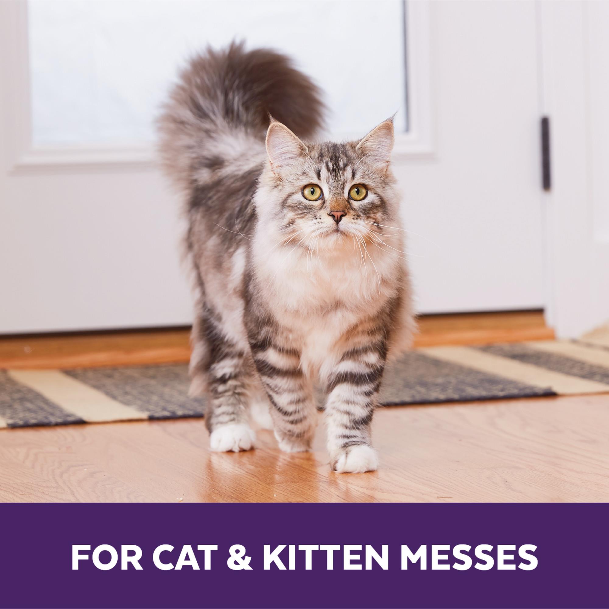 Urine Off Cat - Kedi İdrar Koku Giderici 500 ml