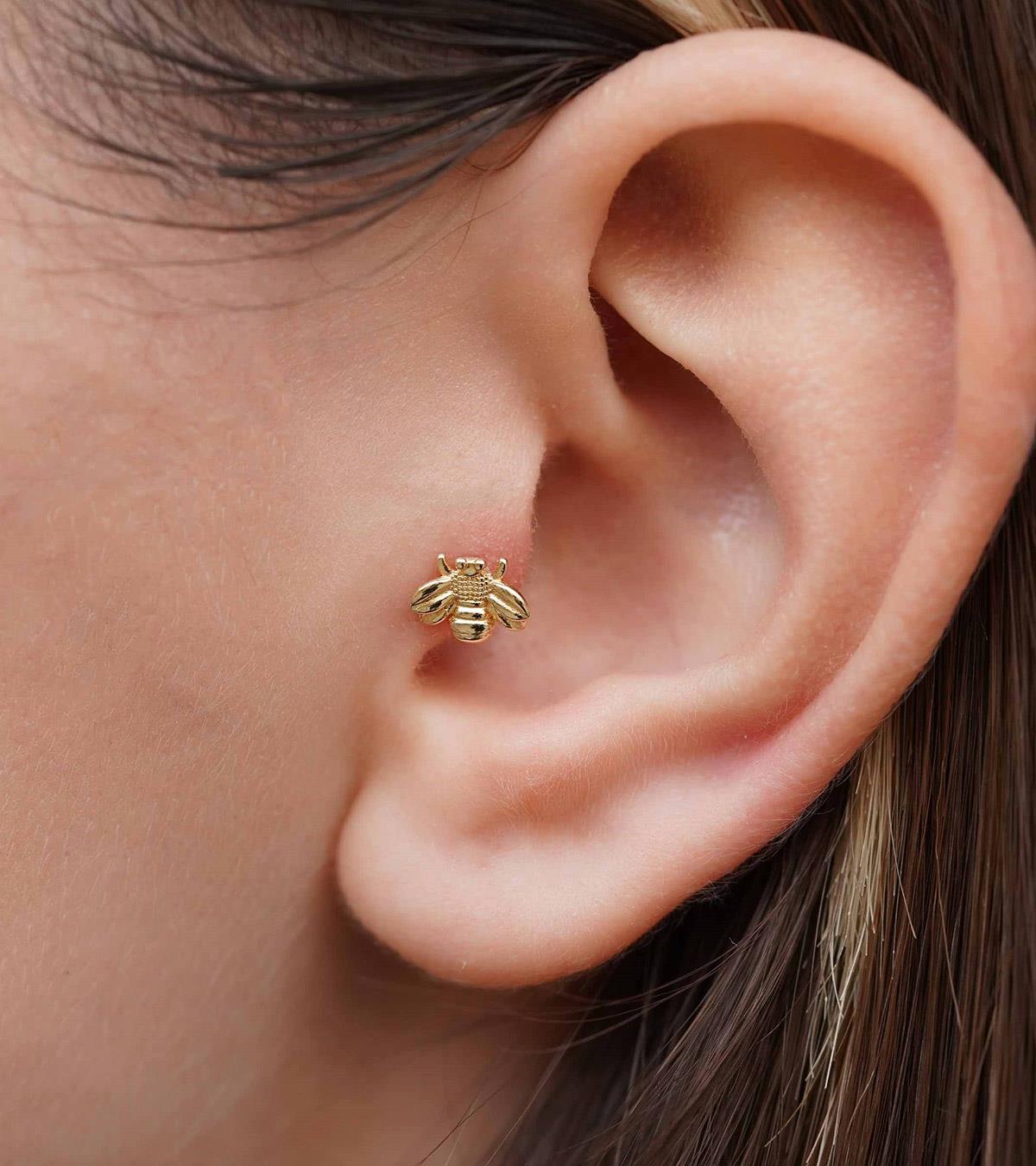 Arı Piercing