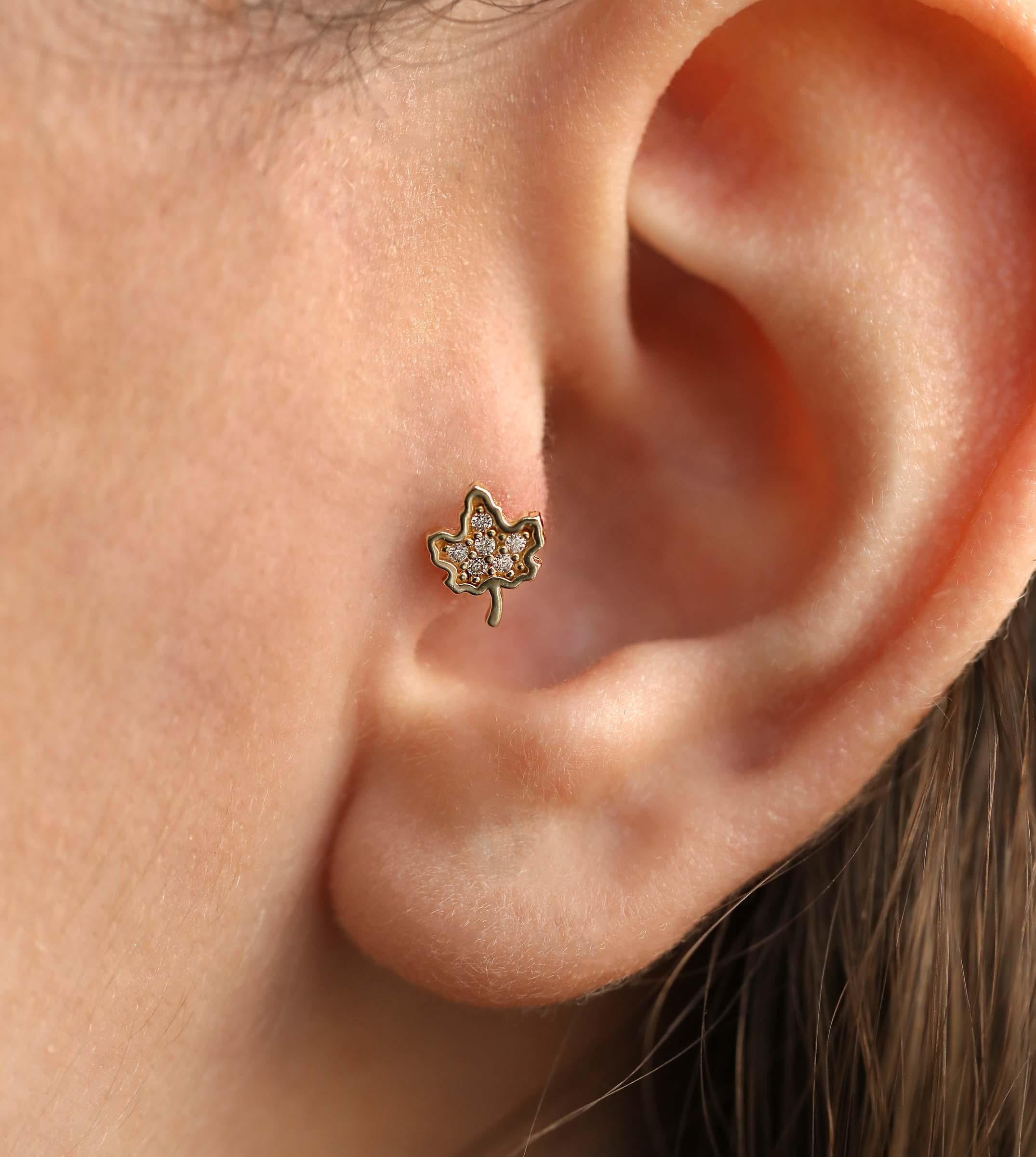 Çınar Yaprağı Piercing