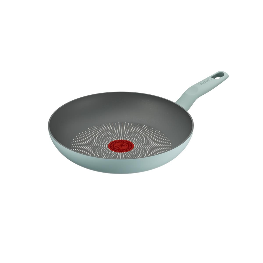 TEFAL 2100143067-HALOOKALIPTUSTAVA24CM