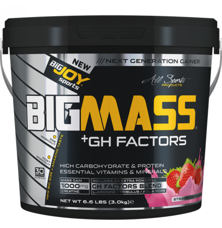 Bigjoy BigMass +GH Factors 3000 gr