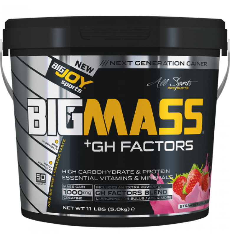 Bigjoy BigMass +GH Factors 5000 gr