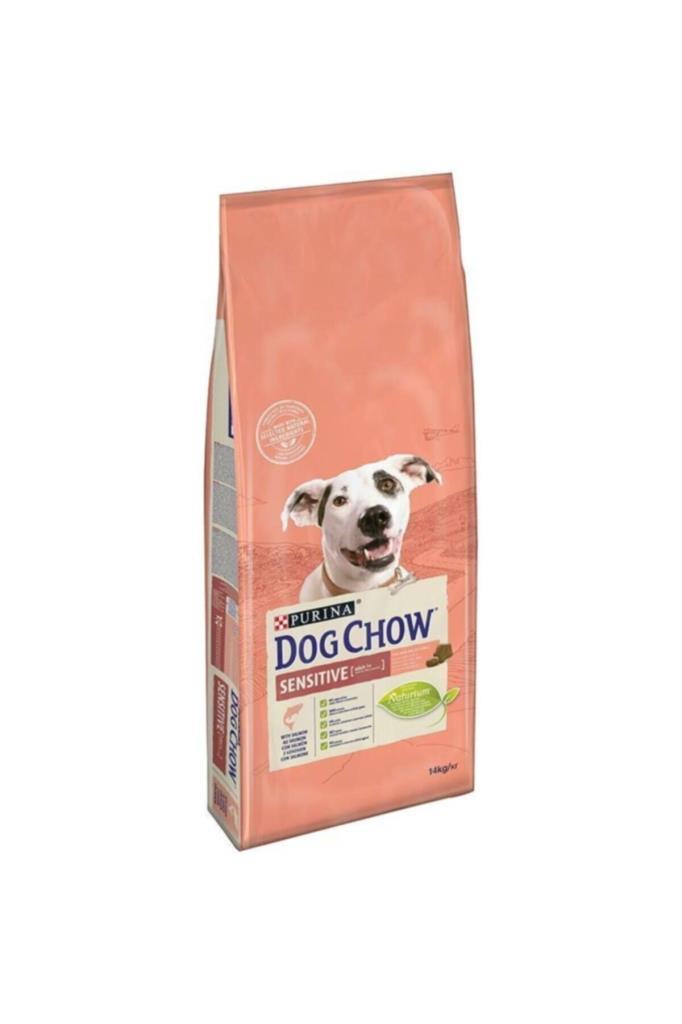 Dog Chow Purina Dog Chow Sensitive Somonlu Yetişkin Köpek Maması 14 kg