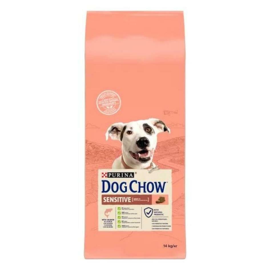 Dog Chow Purina Dog Chow Sensitive Somonlu Yetişkin Köpek Maması 14 kg