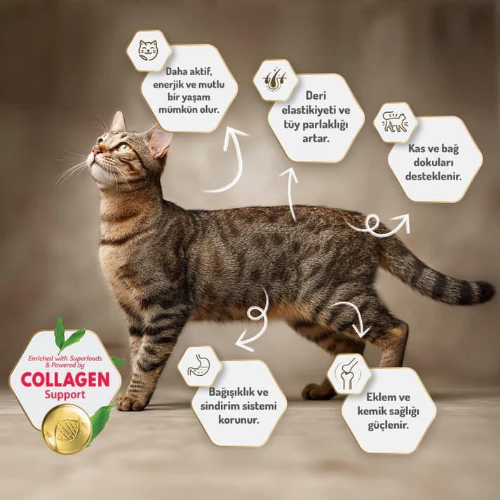 Felicia Kolajen Destekli Hipoalerjenik Tavuklu Kısırlaştırılmış Yetişkin Kedi Maması 2 Kg