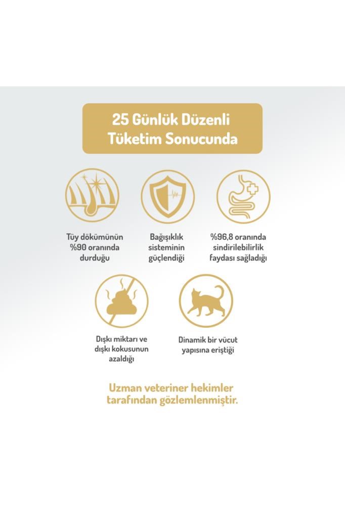 Felicia Kolajen Destekli Hipoalerjenik Somonlu Kısırlaştırılmış Yetişkin Kedi Maması 5KG