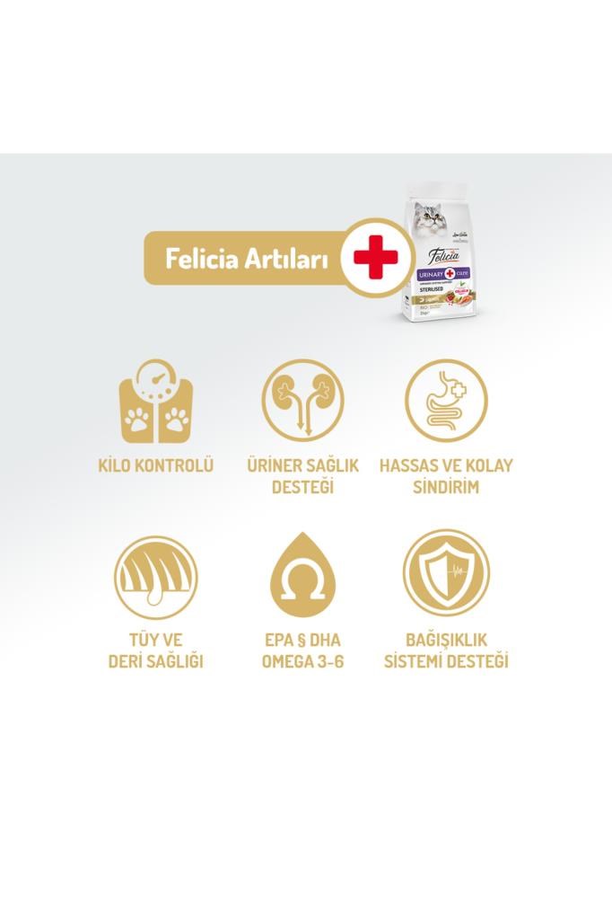 Felicia Kolajen Destekli Hipoalerjenik Somonlu Kısırlaştırılmış Yetişkin Kedi Maması 5KG