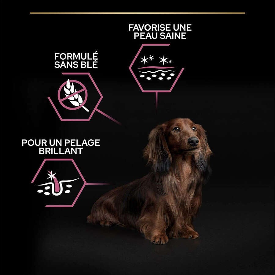 Proplan Köpek Maması Yetişkin Somonlu Small Mini 3 kg