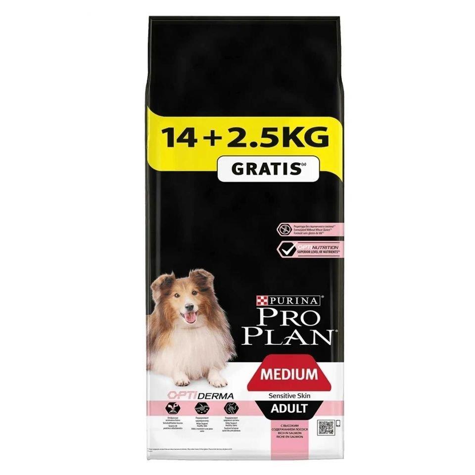Proplan Pro Plan Somonlu Hassas Yetişkin Kuru Köpek Maması 14+2,5 Kg