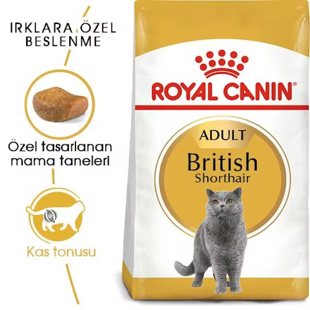 Royal Canin British Shorthair Adult Kedi Kuru Maması 2 Kg