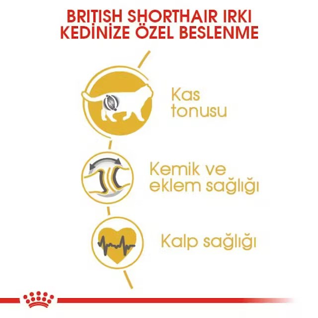 Royal Canin British Shorthair Adult Kedi Kuru Maması 2 Kg