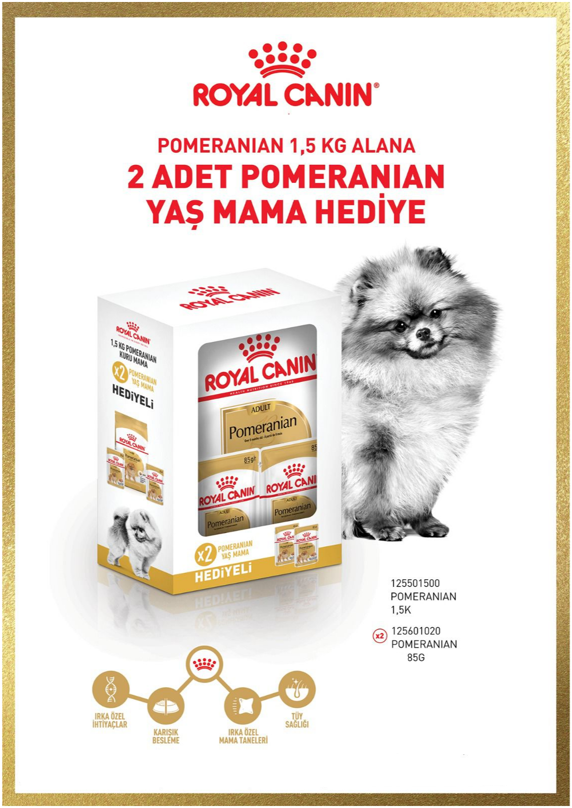 Royal Canin Pomeranian Yetişkin Köpek Maması 1,5 Kg