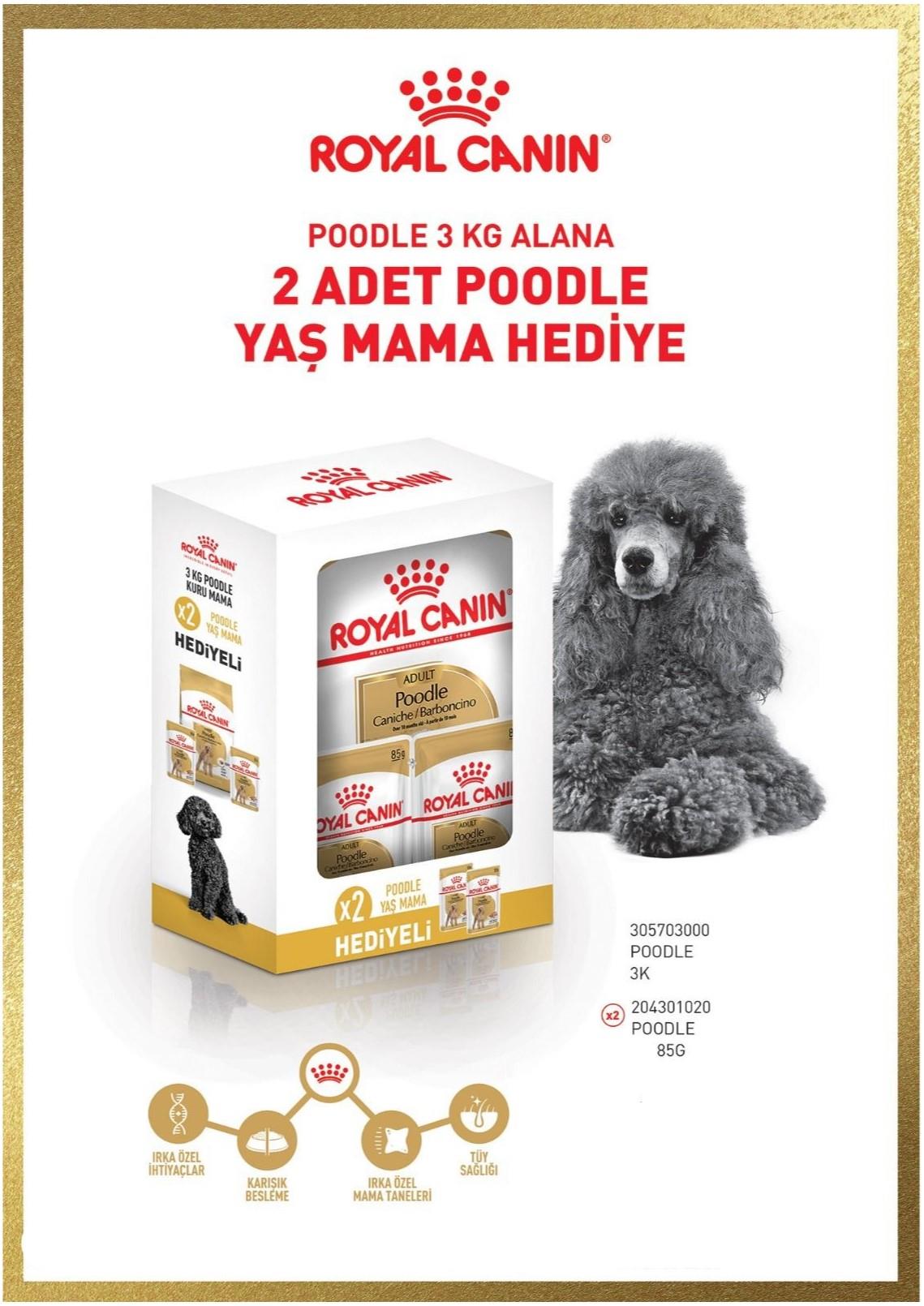 Royal Canin Poodle Adult Köpek Maması 3 kg