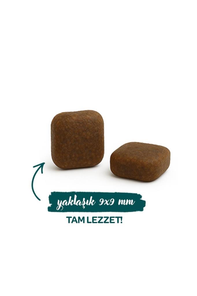 Sanabelle Outdoor Ördek Etli Yetişkin Kuru Kedi Maması 8 Kg