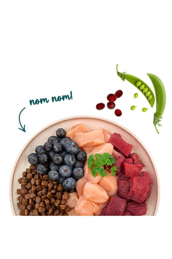 Sanabelle Outdoor Ördek Etli Yetişkin Kuru Kedi Maması 8 Kg