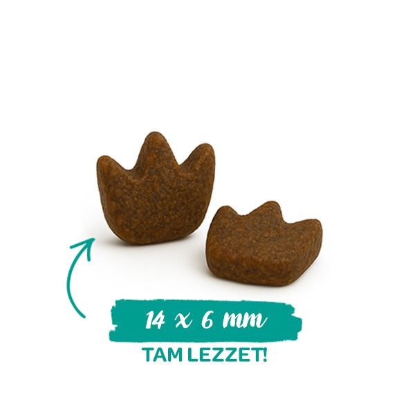 sanabelle Sanabelle Sanabelle Dental Ağız ve Diş Sağlığına Özel Kedi Maması 8 kg