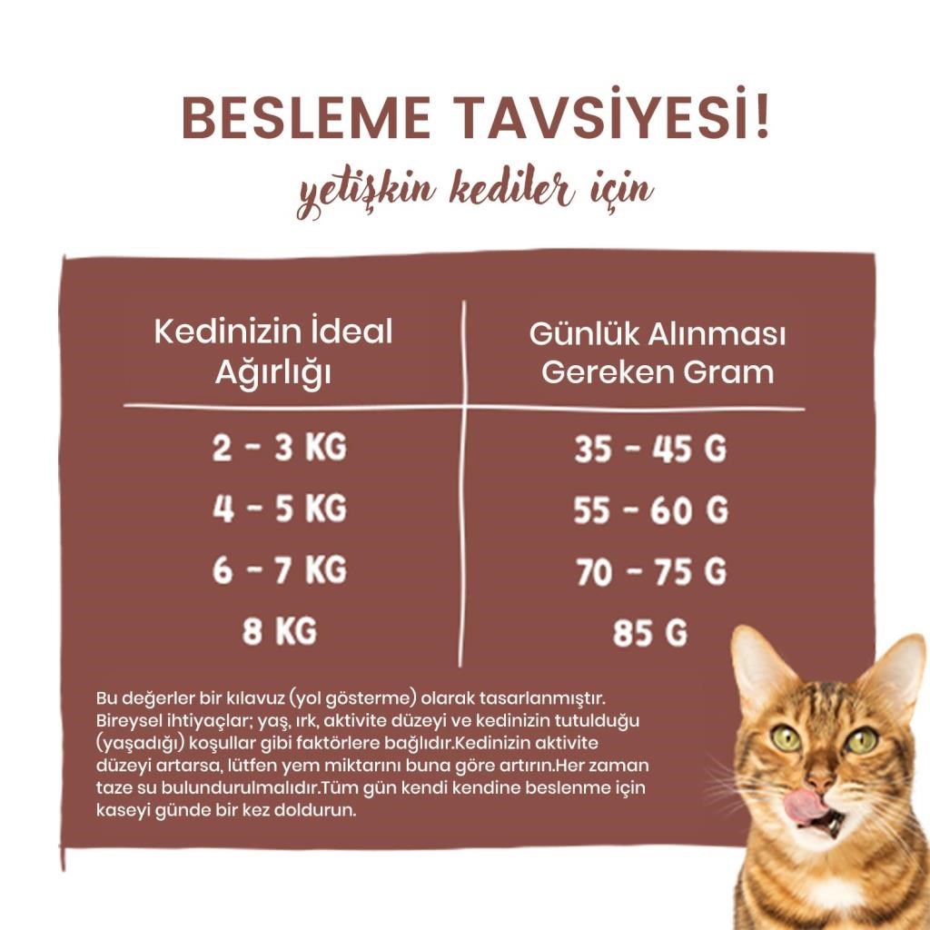 sanabelle Sanabelle Sanabelle Indoor Gine Tavuğu ve Yaban Mersinli Yetişkin Kuru Kedi Maması 8 Kg