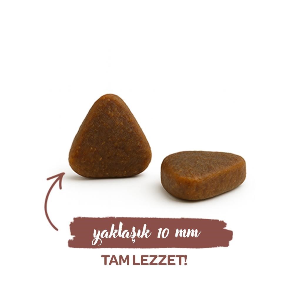 sanabelle Sanabelle Sanabelle Indoor Gine Tavuğu ve Yaban Mersinli Yetişkin Kuru Kedi Maması 8 Kg
