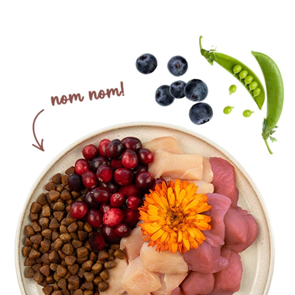 sanabelle Sanabelle Sanabelle Indoor Gine Tavuğu ve Yaban Mersinli Yetişkin Kuru Kedi Maması 8 Kg