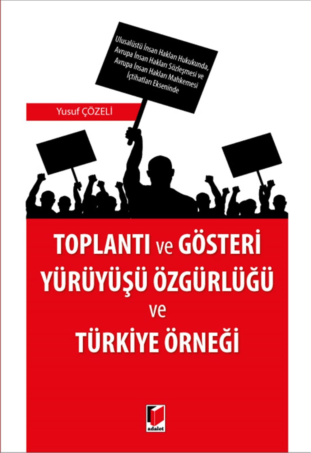 Toplantı ve Gösteri Yürüyüşü Özgürlüğü ve Türkiye Örneği