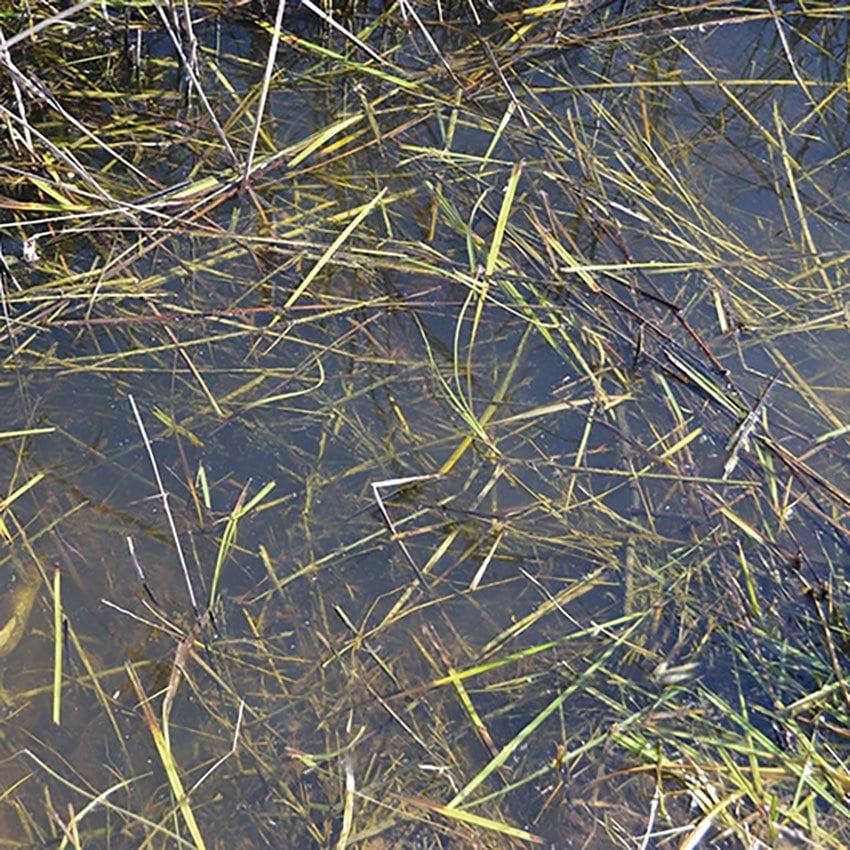 AK 8008 250 ml. Durgun Su Dokusu, Akrilik, Diorama Serisi Zemin Dokusu