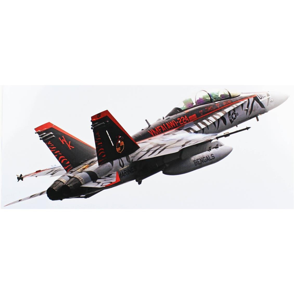 Hasegawa PT44 7545 1/48 Ölçek, F/A-18 D Hornet -VMFA(AW)-224 Bengals 2024, Savaş Uçağı Plastik Model Kiti
