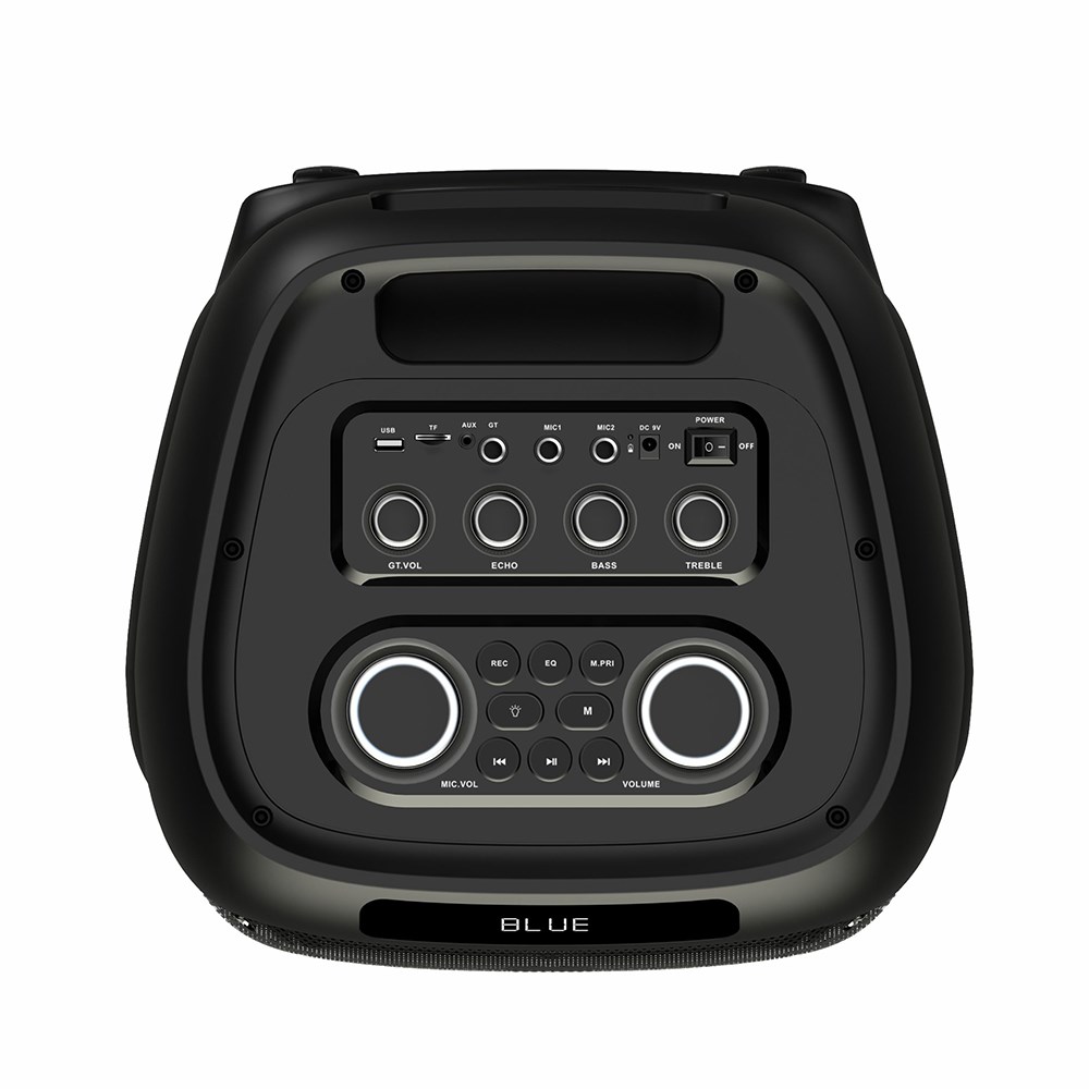 Zore LT-2131 Dijital LED Göstergeli Mikrofonlu RGB TWS Çift 8 inç Stereo Bass Kablosuz Karaoke Hoparlör