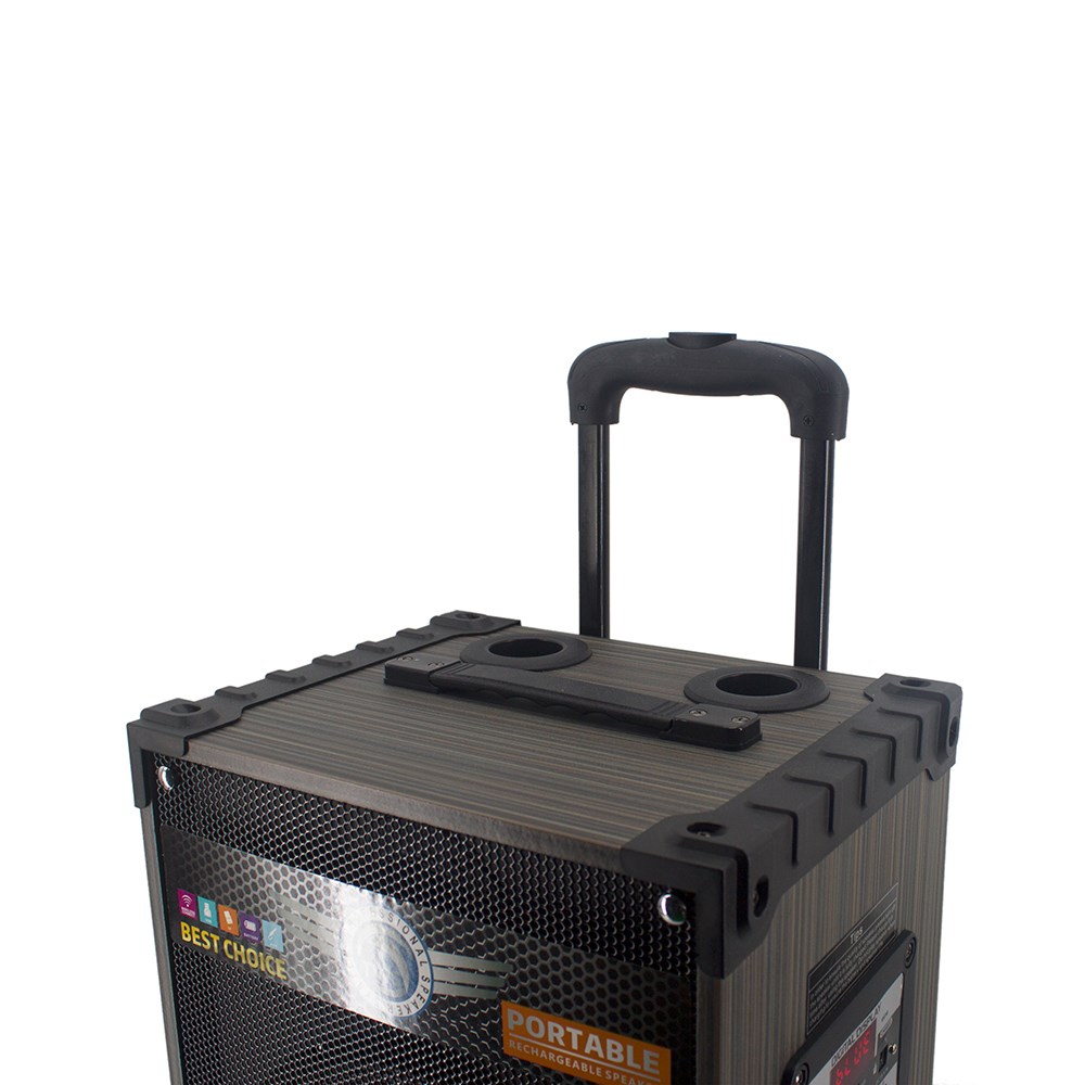 Zore LT-912 Dijital LED Göstergeli FM Radyolu Mikrofonlu Gitar Girişli TWS 12 inç Stereo Bass Kablosuz Karaoke Hoparlör