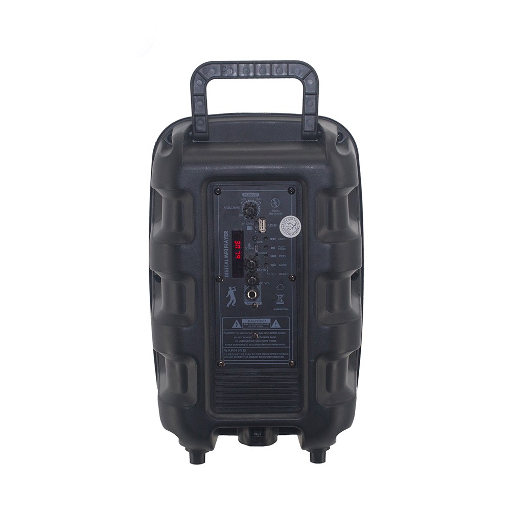 Zore PK-15 FM Radyolu Mikrofonlu RGB TWS 8 inç Stereo Bass Kablosuz Karaoke Hoparlör