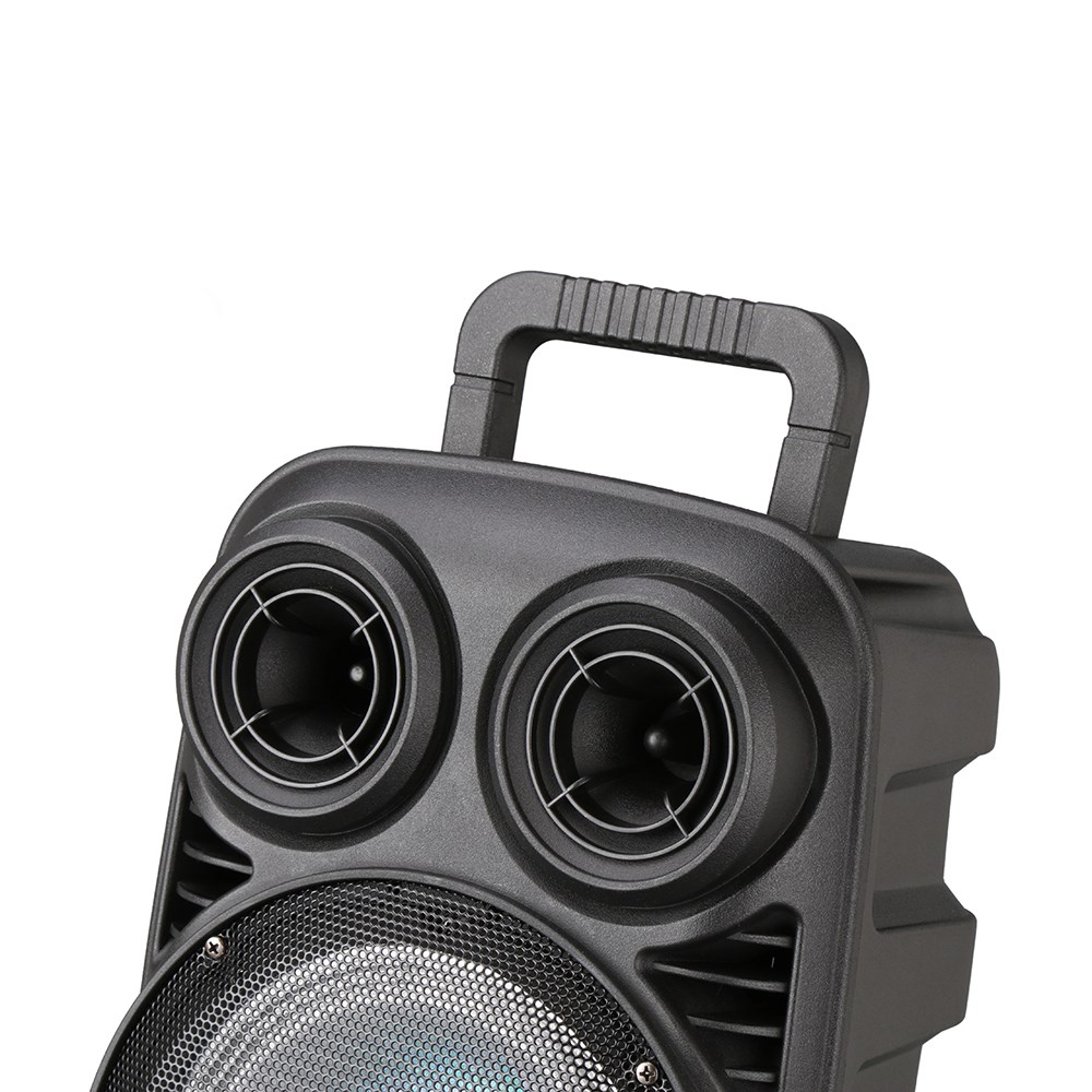 Zore PK-15 FM Radyolu Mikrofonlu RGB TWS 8 inç Stereo Bass Kablosuz Karaoke Hoparlör