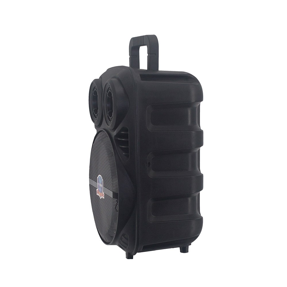 Zore PK-15 FM Radyolu Mikrofonlu RGB TWS 8 inç Stereo Bass Kablosuz Karaoke Hoparlör
